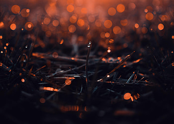 Macro, Glare, Drop, Leaflet HD wallpaper