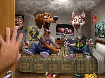 caught, funnt, room, animals HD wallpaper