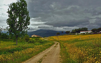 Country Road, road, nature, country, cloud HD wallpaper