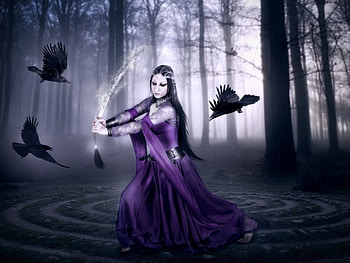 Morgana, raven, lady, black, forest HD wallpaper
