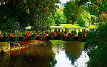Park Bridge, river, flowers, reflection, water, trees HD wallpaper