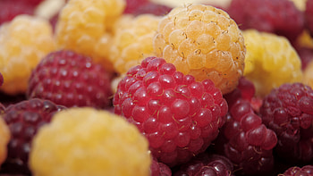 Full laptop , Crisp and clear, High-resolution , Intense colors HD wallpaper