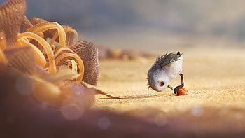 Piper Animated Movie, piper, movies, animated-movies, 2016-movies, pixar HD wallpaper