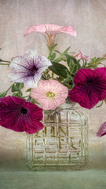 glass, vase, man made, flower HD phone wallpaper