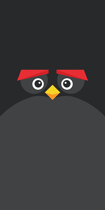 Angry Birds Bomb, angry_birds_bomb, bomb_angry_bird, angry_birds, black_angry_bird HD phone wallpaper