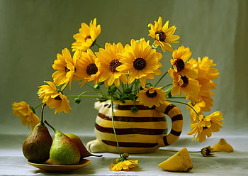 still life, bouquet, graphy, beautiful, jug, pear, flower, lemon, yellow, fruit, flowers, harmony HD wallpaper