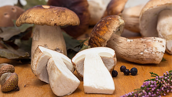 Archaeology of mushrooms, Porcini chefs, Mandala, Culinary exploration HD wallpaper