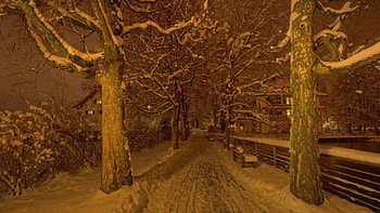 back road to town on a winter night, winter, night, bench, town, trees, road, pond HD wallpaper