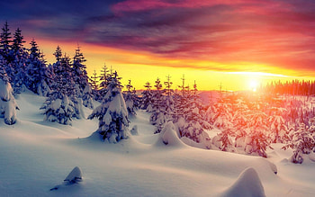 winter sunset, winter, fun, cool, nature, sunset HD wallpaper