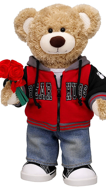 Teddy Bear Live, Adorable, Soft Toy HD phone wallpaper