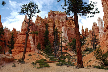 Bryce Canyon National Park, Earth's gallery, Majestic formations, Kings Canyon HD wallpaper