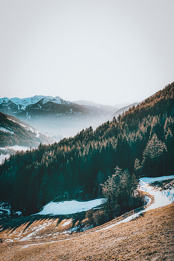 Nature, Mountains, Forest, Fog HD phone wallpaper