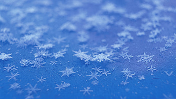 Snowflakes Falling HD wallpaper
