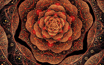 Abstract, Patterns, Flower, Shine, Petals, Brilliance HD wallpaper