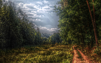 Nature, Clouds, Road, Forest, Color, Colors, Overcast, Mainly Cloudy, Gloomy, Glade, Polyana, Country, Countryside HD wallpaper