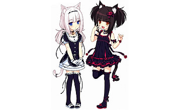 loli, anime girls, animal ears, Neko Para - HD wallpaper