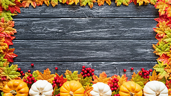 :), black, wood, yellow, pumpkin, texture, autumn, card, leaf HD wallpaper