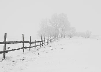 A serene winter scene featuring a rustic wooden fence in a snow-covered landscape. HD wallpaper