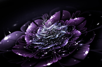 Abstract, Flower, Glare, Fractal, Points, Point HD wallpaper