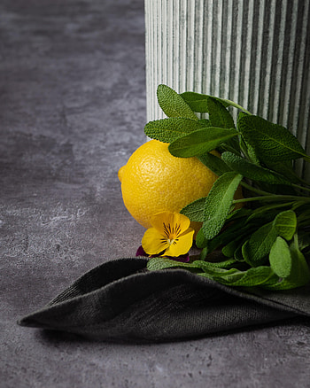 Flowers, Flower, Lemon, Fruit, Citrus HD phone wallpaper