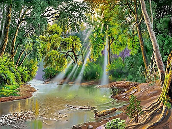 Sunrays, dirt, creek, rocks, leaves, 3d, limbs, branches, trees, pebbles, water HD wallpaper