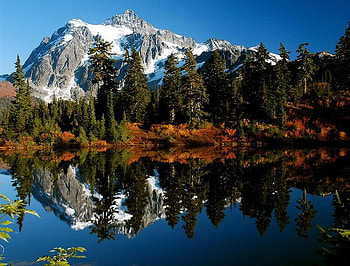 Paradise In Golden Light, trees, sky, water, mountain HD wallpaper