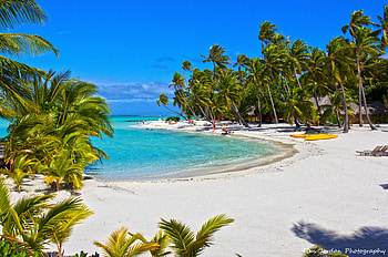 Beach, palm tree, Summer, Paradise, Sea, Fantastic HD wallpaper
