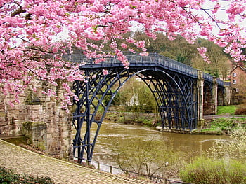 A scenic view of cherry blossoms framing the historic Iron Bridge over a river in spring. HD wallpaper
