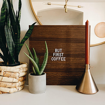 Plants, Coffee, Words, Inscription, Houseplants HD phone wallpaper