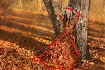 Autumn Beauty, woods, girl, autumn leaves, beauty, woman, lady, leaves, autumn, splendor, forest, female HD wallpaper
