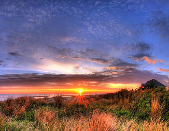 Beach Sunrise, grasses, clouds, sunrise, ocean, beach HD wallpaper