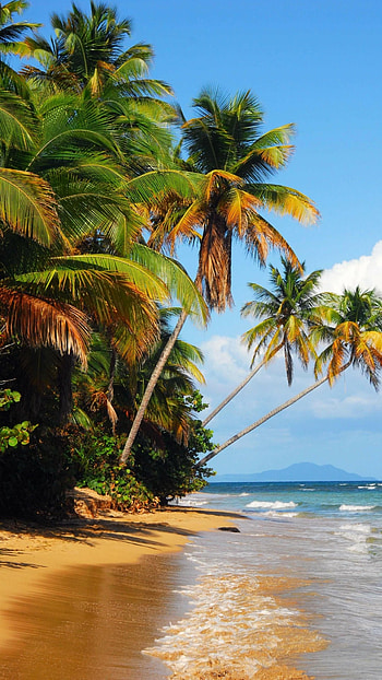 Trinidad and Tobago travels, Nature , Beautiful landscapes, Beach scenery HD phone wallpaper