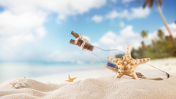 Closeup View Of Bottle Star Shell On Beach Sand In Blur Sky Trees Background Ocean HD wallpaper