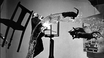 Dali Atomicus, Salvador Dali HD wallpaper