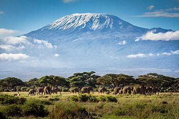 Mount Kilimanjaro, , Stunning background, Ultra high-definition HD wallpaper