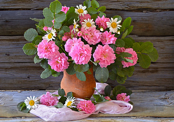 Bouquets Rose, Bouquets, nature, Rose, flower HD wallpaper
