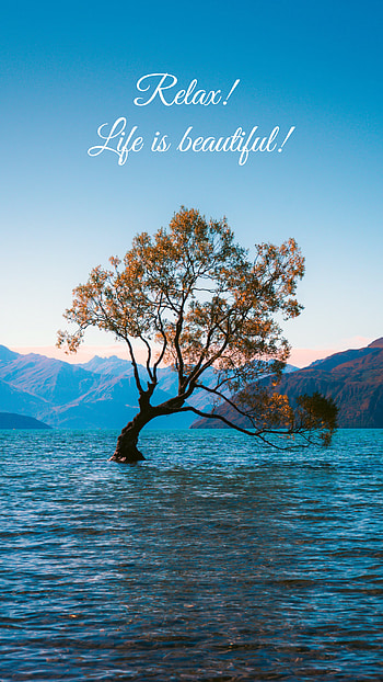 Life is beautiful !, sky, quote, natural, nature, sunset, hills, best, autumn, summer HD phone wallpaper