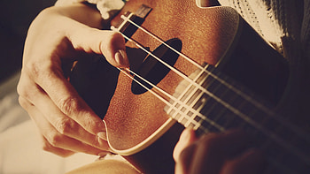 Ukulele instrument bliss, Musical hands, Serene , harmony HD wallpaper