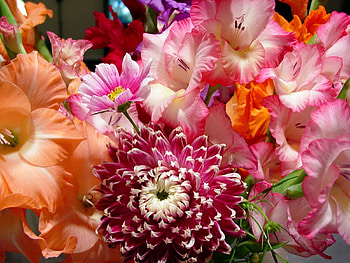 Flowers, Bright, Beauty, Bouquet HD wallpaper