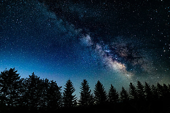 Night in wood, Galaxy, starry sky, nature HD wallpaper