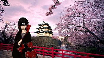 Uchiha Itachi Japan, Itachi Uchiha, Anime, Naruto HD wallpaper