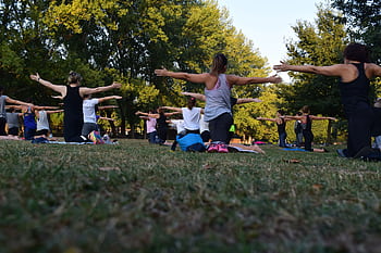 Group of adults practicing yoga outdoors in a park surrounded by trees. HD wallpaper