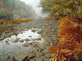 Nature, Water, Rivers, Stones, Autumn HD wallpaper