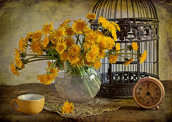 still life, bouquet, graphy, tea, lace, clocks, nice, flower, coffee, , vase, beautiful, cup, cage, cell, old, pretty, yellow, cool, flowers, lovely, harmony, drink HD wallpaper
