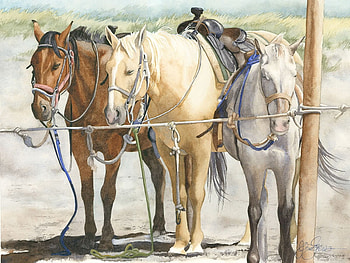 Three on a rope, on a rope, three, frends HD wallpaper