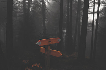 Words, Inscription, Pointer, Sign, Gloomy, Gloomily HD wallpaper