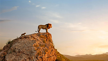 The Lion King, Mufasa and Simba HD wallpaper