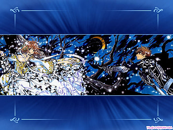 Sakura with a Knight and with a blue background, tsubasa, sakura HD wallpaper