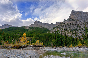 Nature, Water, Trees, Mountain, Vertex, Top, Coast HD wallpaper