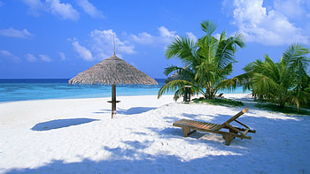 Nice Sea Beach, Sand, Sky, Tree HD wallpaper